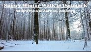 Snowy Winter Walk In Denmark - Nature Walk In Aarhus, Denmark - Scandinavian Walking Tour 4k