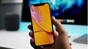Download The Official iPhone Xr & Xs Wallpapers!