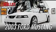 2003 Ford Mustang Cobra | [4K] | REVIEW SERIES | 'Ill Be Back'