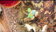 Petstages GREEN MAGIC Mightie Mouse Cat Toy