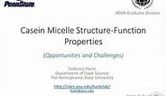 Casein Micelles Structure-Function Properties (Opportunities and Challenges)