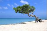Images of Dominican Republic White Sand Beaches