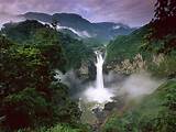 Pictures of Tropical Forest In South America