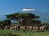 Highest Mountain Peak In Africa Photos