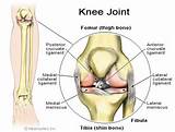 Diagnosing Knee Injury Pictures
