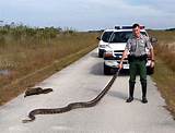 Photos of Trade Jobs Florida