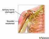 Pictures of Nerve Definition