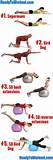 Body Weight Lower Back Exercises