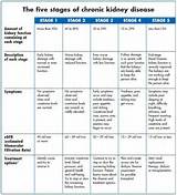 Kidney Chronic Disease Stage 5 Images