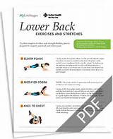 Back Exercises For Low Back Pain Photos
