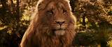 Pictures of Chronicles Of Narnia Lion Witch And Wardrobe