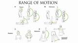 Ranges Of Motion Images
