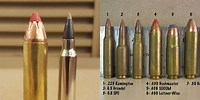 450 Bushmaster vs 223 Remington