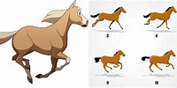 Cartoon Horse Running Cycle