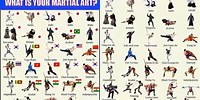 Forms of Karate Martial Arts