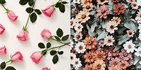 Lock Screen Images for Laptop Flowers