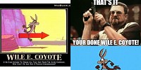 Wile E. Coyote Memes Funny
