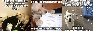 Dog Eating Homework Meme