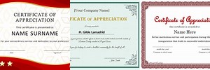 Employee Certificate of Appreciation Sample Text