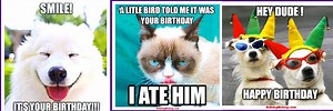 Funny Animated Animal Happy Birthday Meme