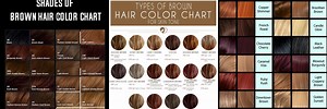 Shades of Brown Hair Color Names