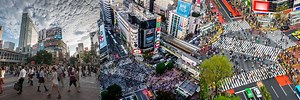 Shibuya Crossing Tokyo Fact Sheet