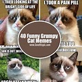 100 Funny Memes Grumpy Cat