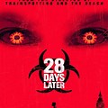 28 Days Later DVD Disc
