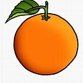 3 Orange Fruits Cartoon