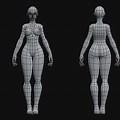 3D Model Reference for Free Download