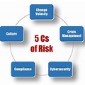 5 CS of Risk Management
