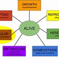 A Chart of the Characteristics of the Living