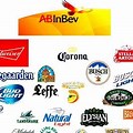 AB InBev Company Brands