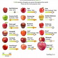 An Apple vs Many Apples