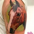 Anglo Arabian Horse Lip Tattoo
