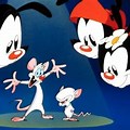 Animaniacs Pinky and the Brain Horse