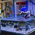 Aquarium Supplies Gold Coast