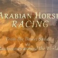Arabian Horse Racing Movies