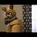 Are You Challenging Me Shaggy Spring Trap