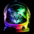 Astronaut Cat iPhone Wallpaper