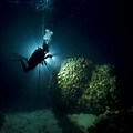 Atlantic Ocean Underwater at Night