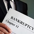 Bankruptcy Chapter One