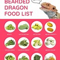 Bearded Dragon Food List