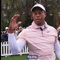 Big Dawg Tiger Woods