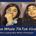 Blue Whale Challenge Tik Tok