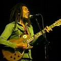 Bob Marley Concert Pics
