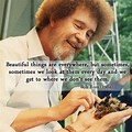 Bob Ross Quotes About Plants