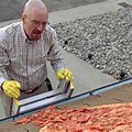 Breaking Bad Pizza Roof