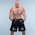 Brock Lesnar New-Look