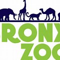 Bronx Zoo Clip Art